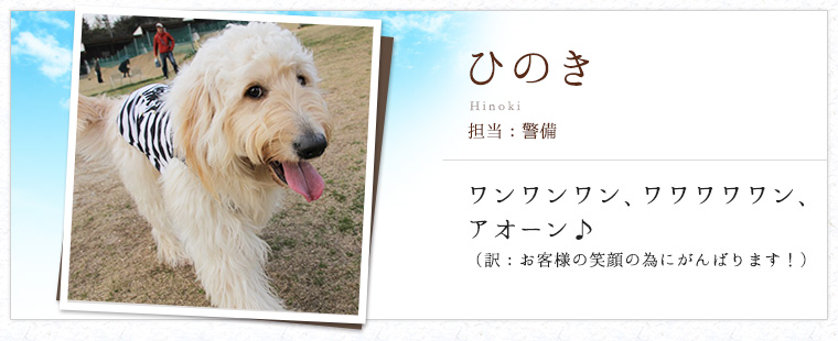 ひのき